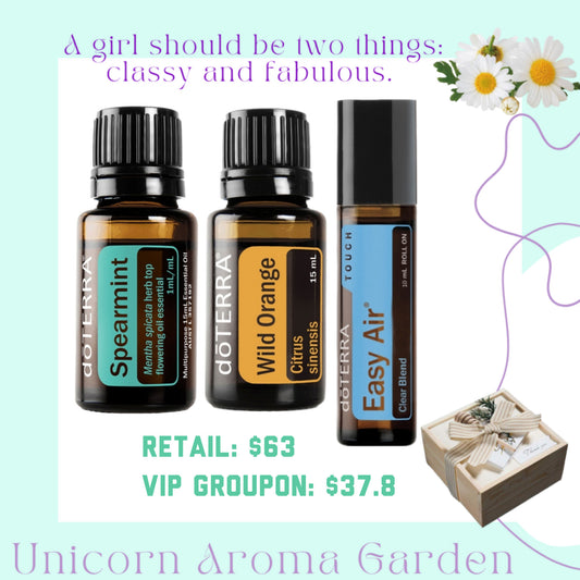 dōTERRA Spearmint & Wild Orange 15 ml & Easy Air 10ml